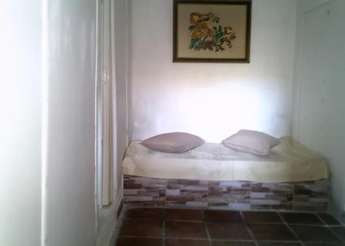 Amalia's House *
